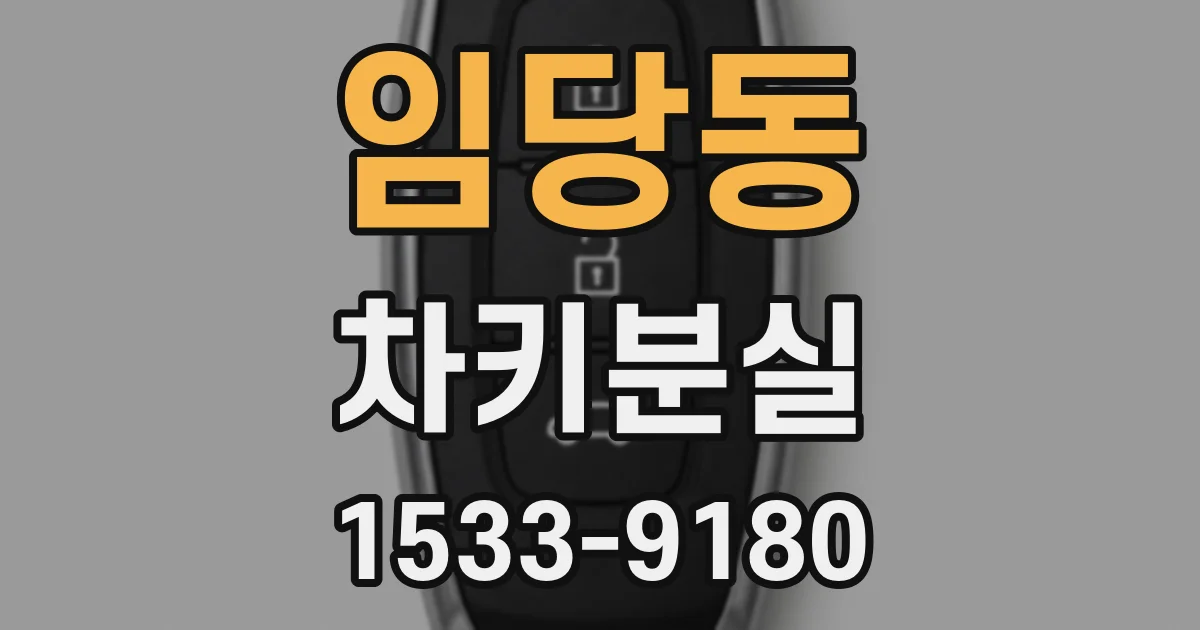 임당동 차키분실