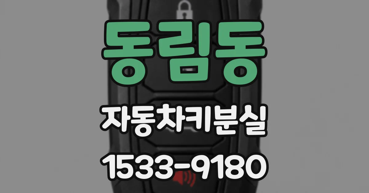 동림동 자동차키분실