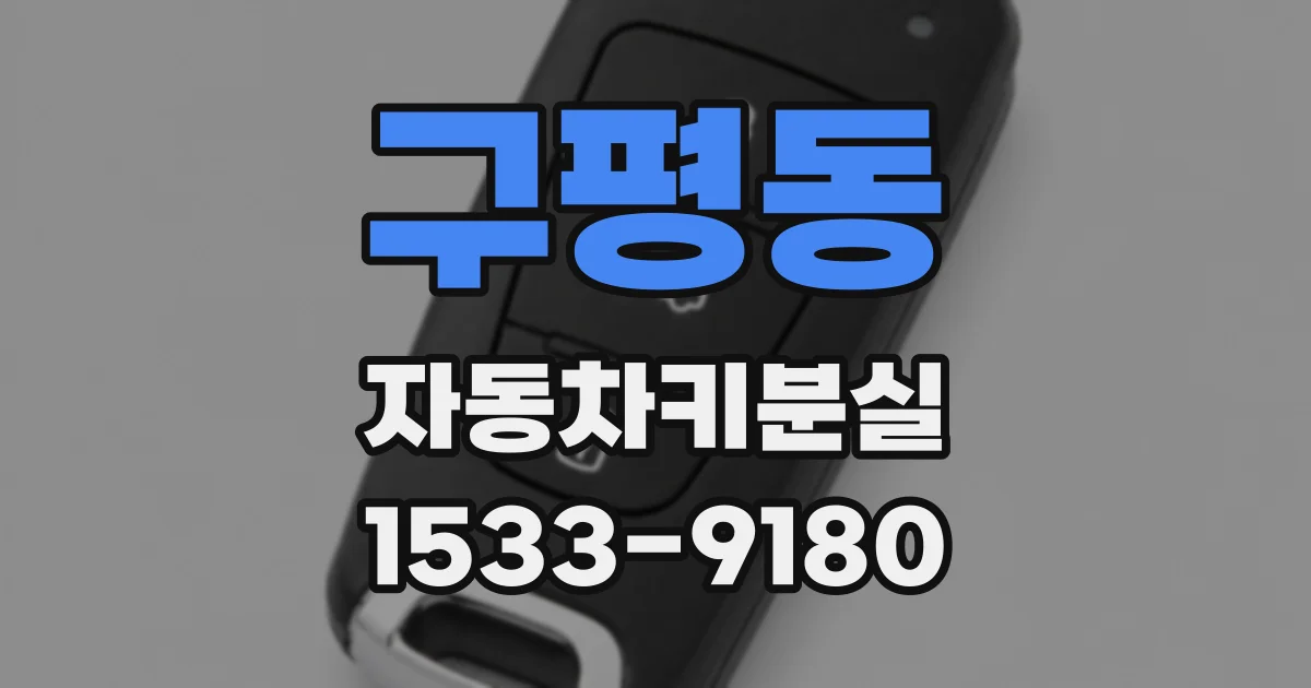 구평동 자동차키분실