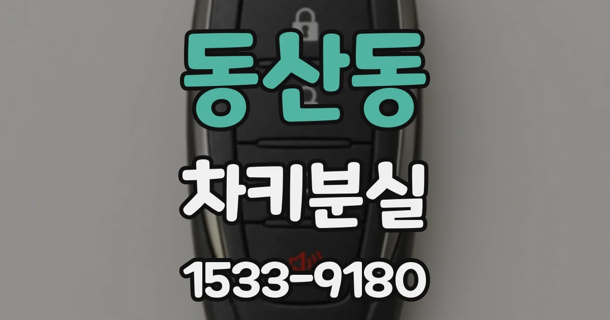동산동 차키분실