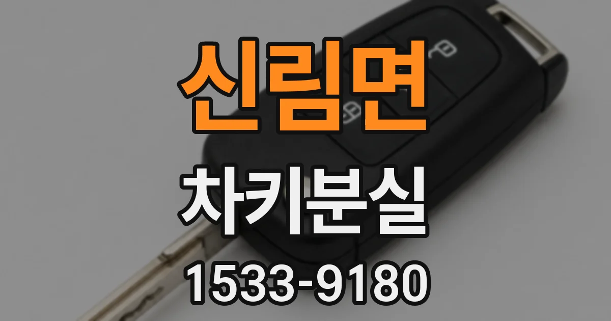 신림면 차키분실