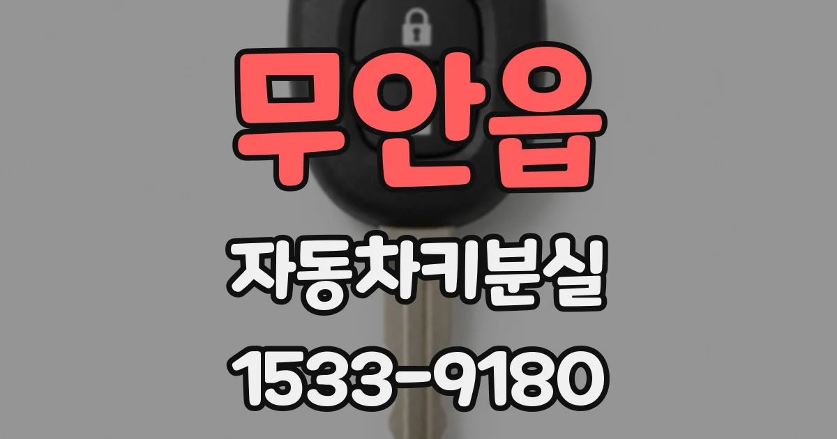 무안읍 자동차키분실