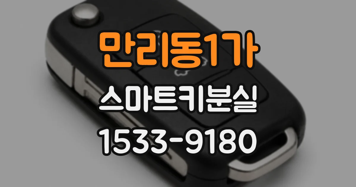 만리동1가 스마트키분실