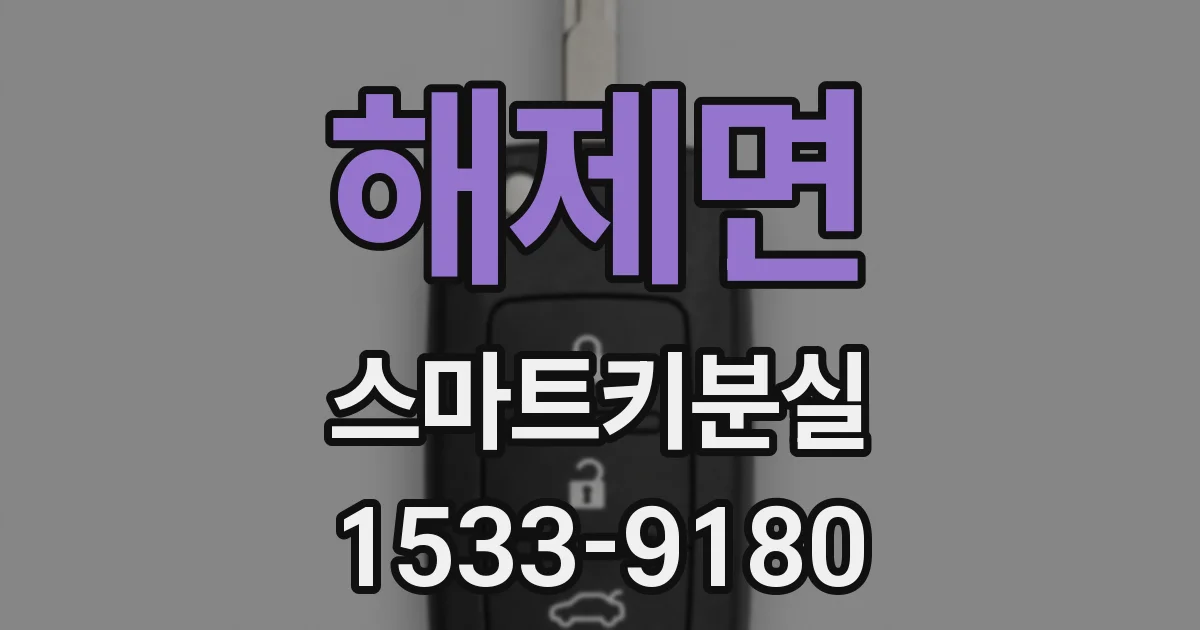 해제면 스마트키분실