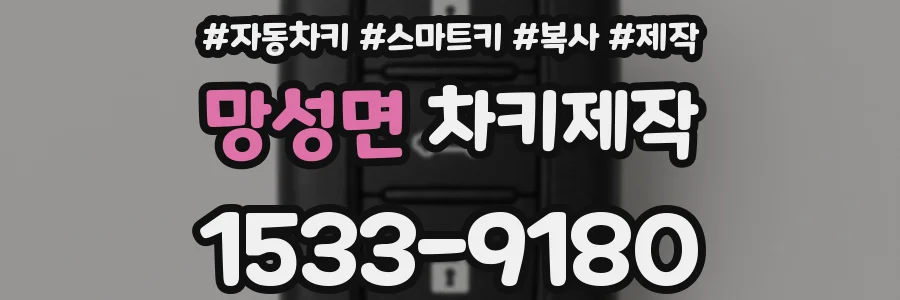 망성면 차키제작