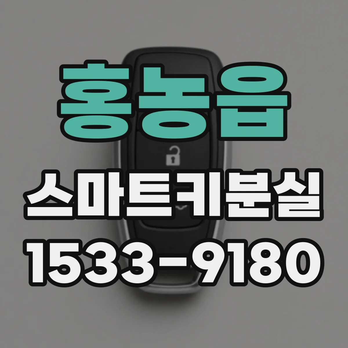 홍농읍 스마트키분실