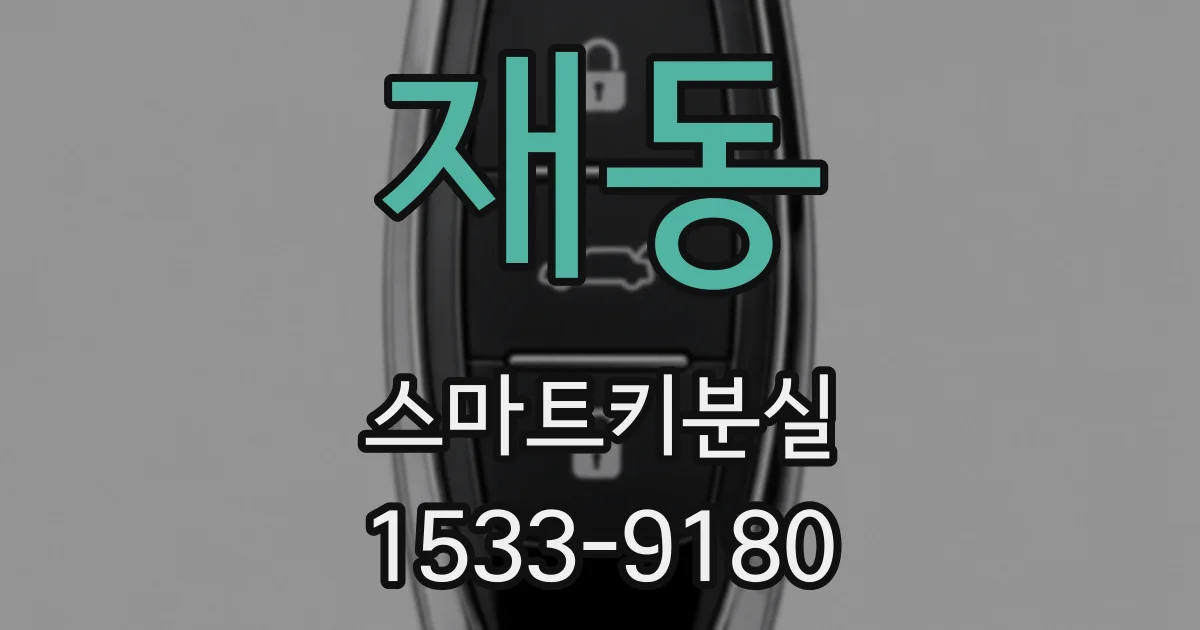 재동 스마트키분실