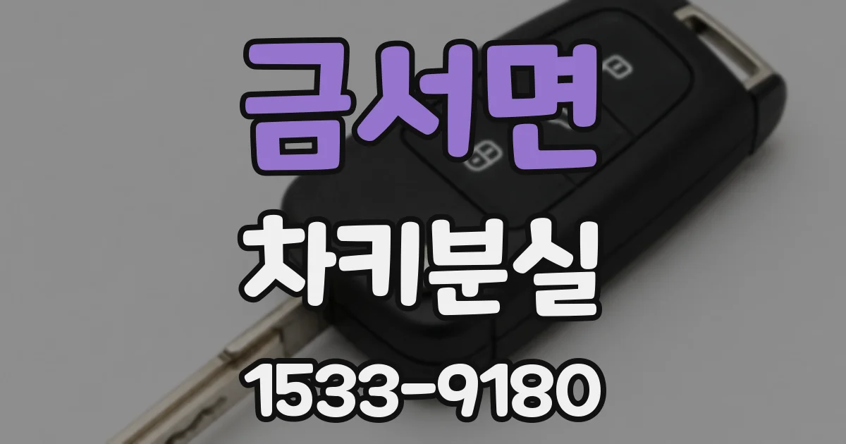 금서면 차키분실