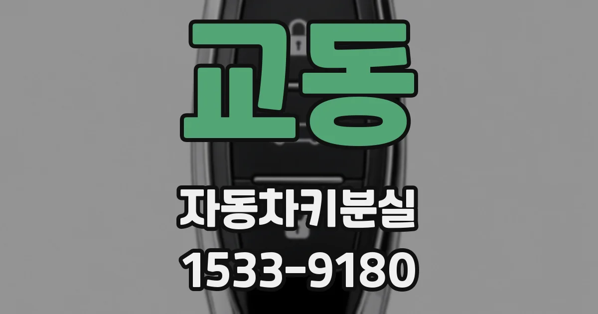 교동 자동차키분실