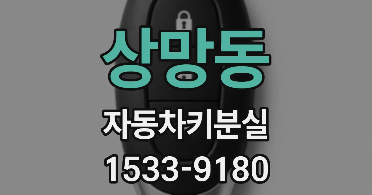 상망동 자동차키분실