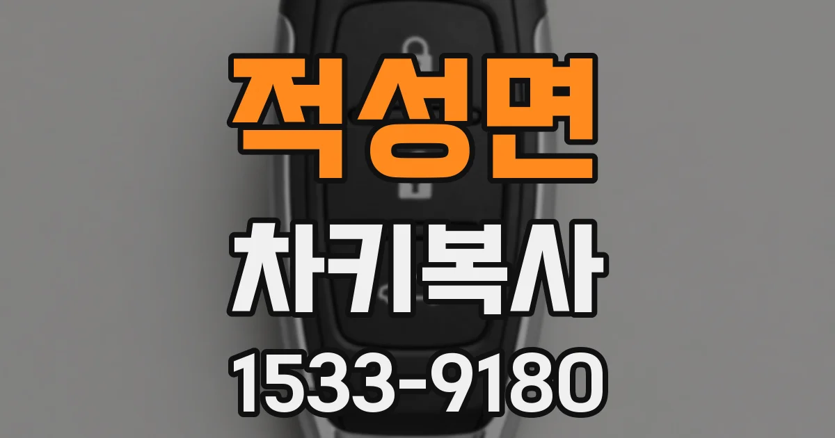 적성면 차키복사