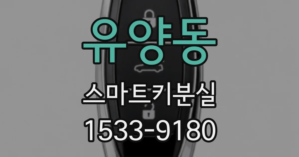 유양동 스마트키분실