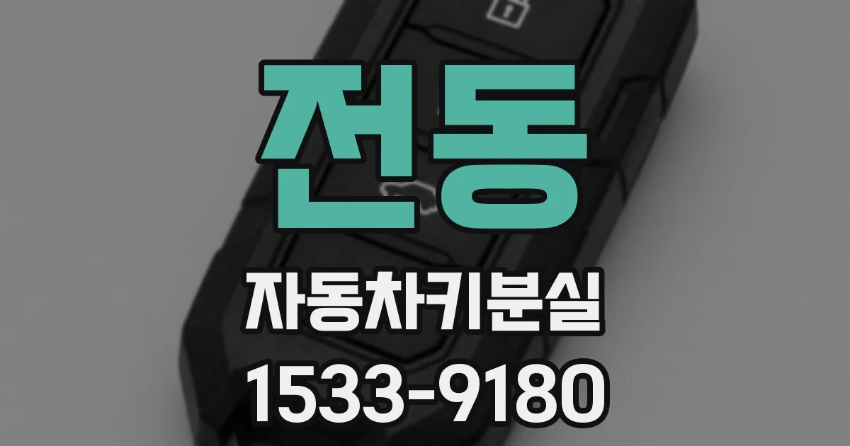 전동 자동차키분실