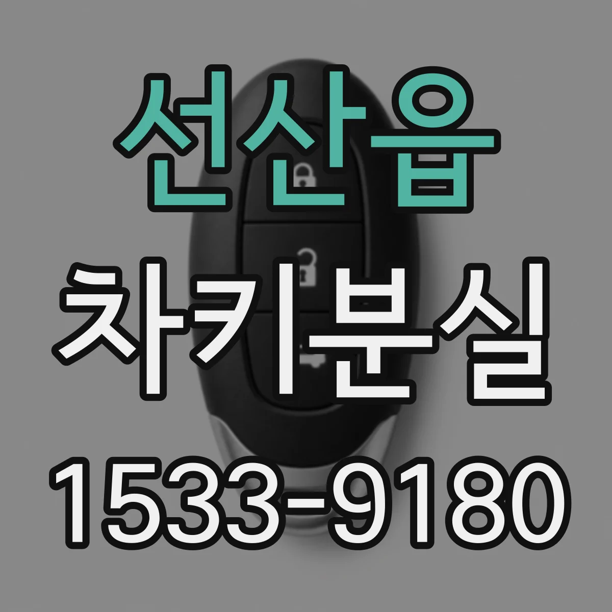 선산읍 차키분실