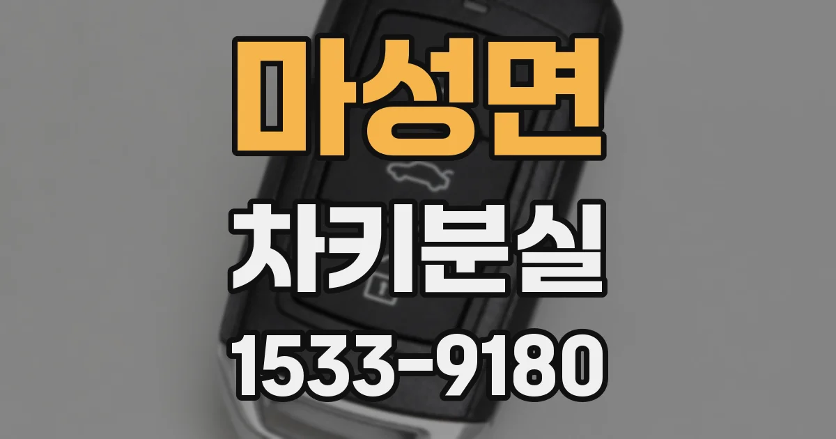 마성면 차키분실