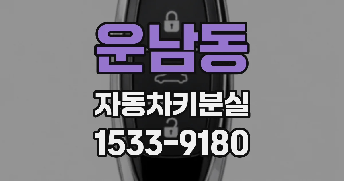 운남동 자동차키분실