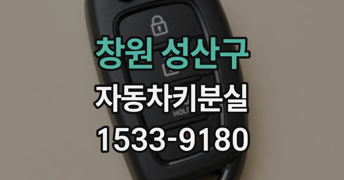 창원 성산구 자동차키분실