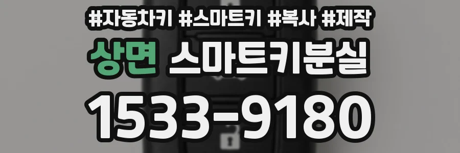상면 스마트키분실