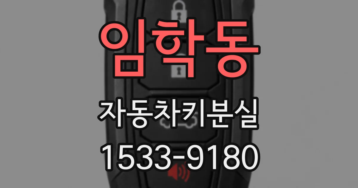 임학동 자동차키분실