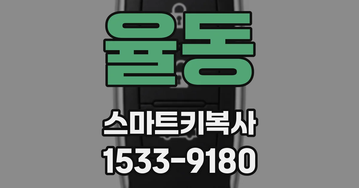 율동 스마트키복사