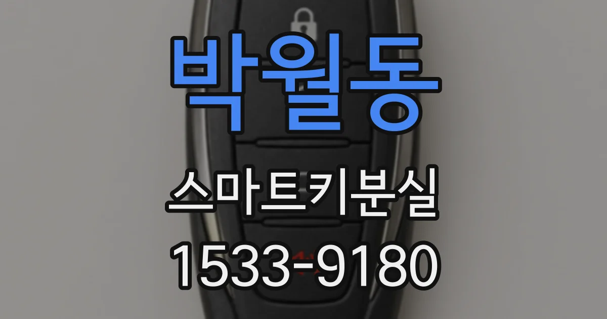 박월동 스마트키분실