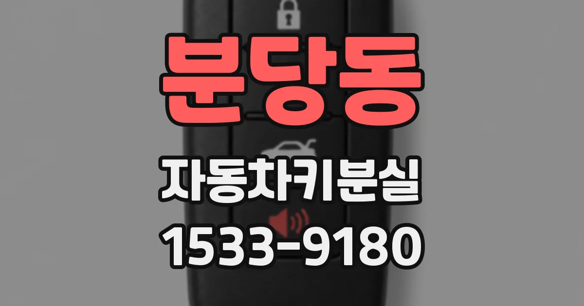 분당동 자동차키분실