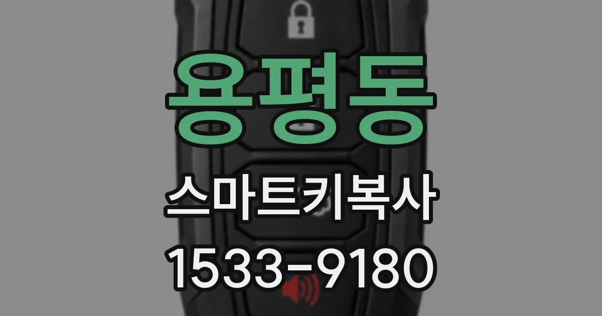용평동 스마트키복사