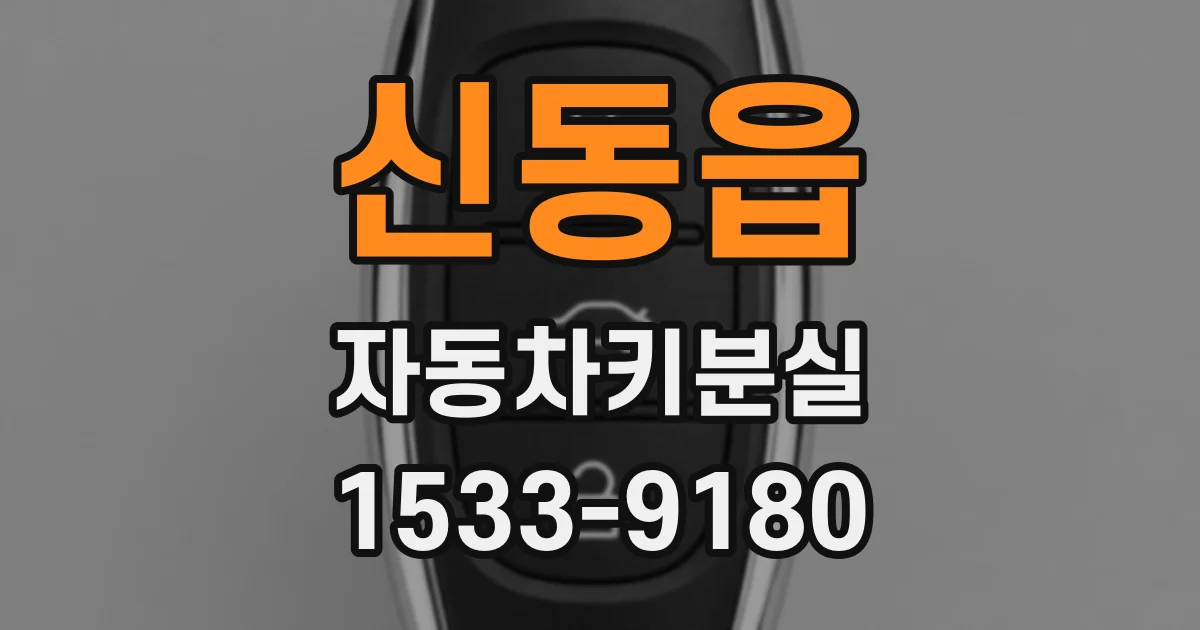 신동읍 자동차키분실