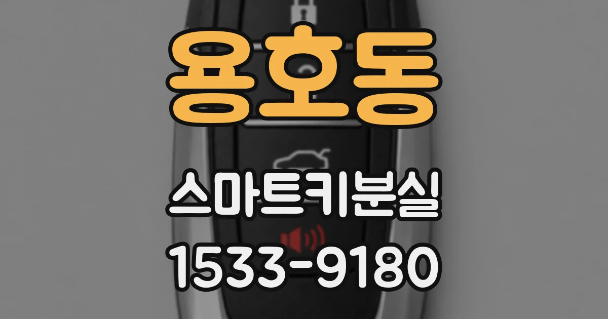 용호동 스마트키분실