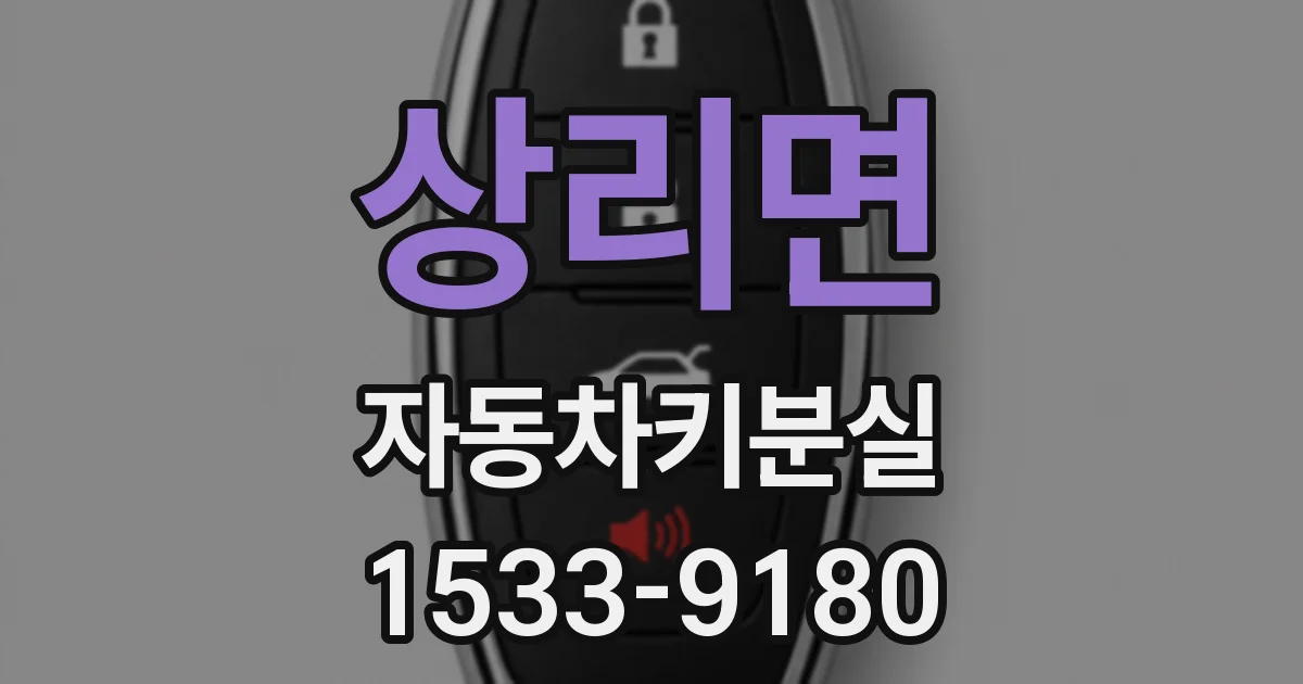 상리면 자동차키분실