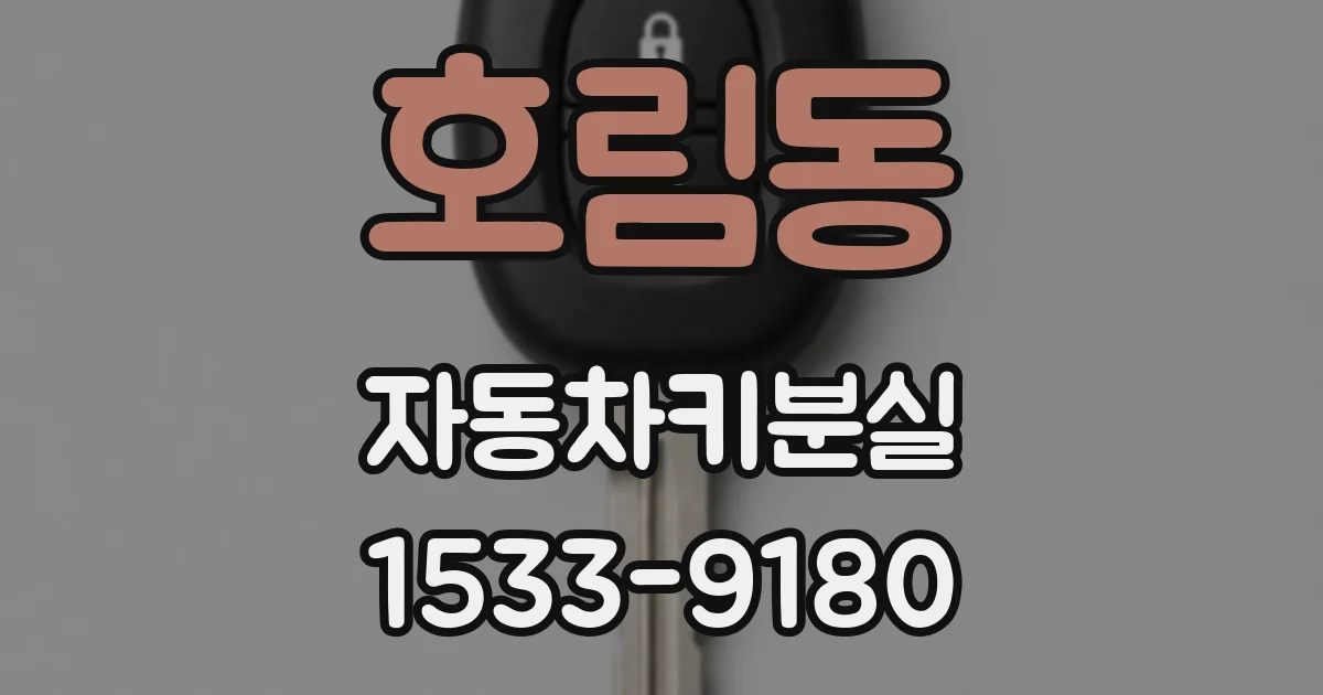 호림동 자동차키분실