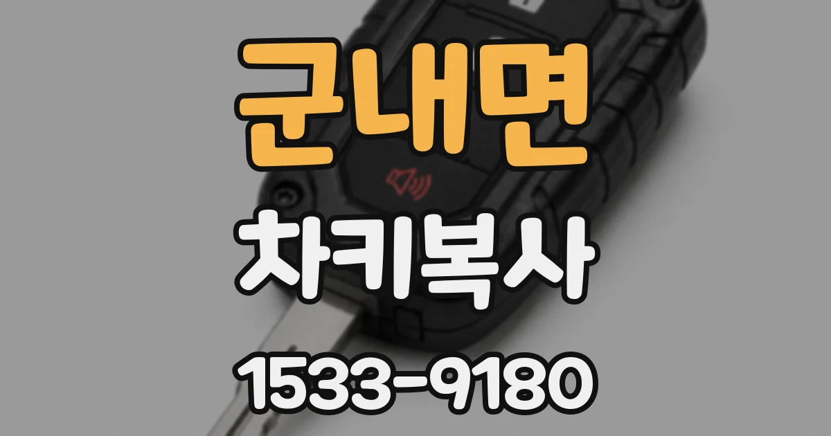 군내면 차키복사