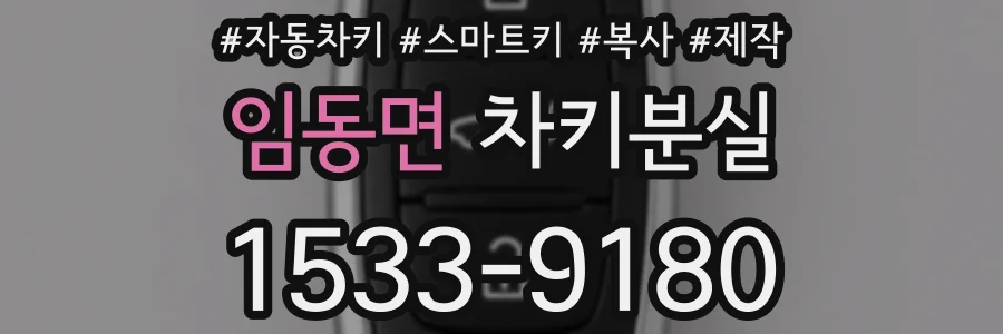 임동면 차키분실