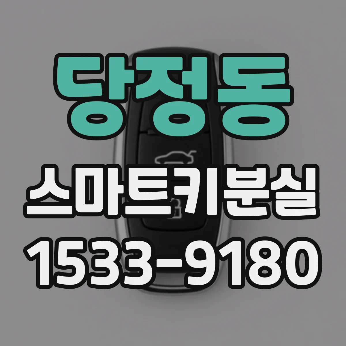 당정동 스마트키분실