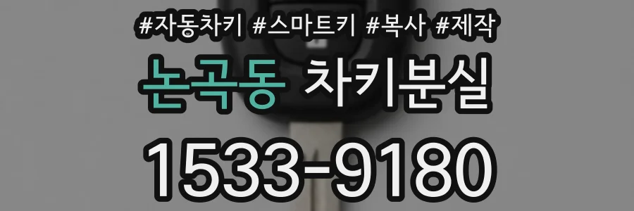 논곡동 차키분실