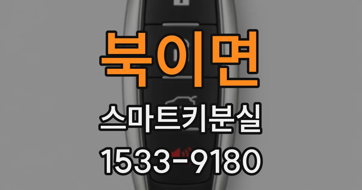 북이면 스마트키분실