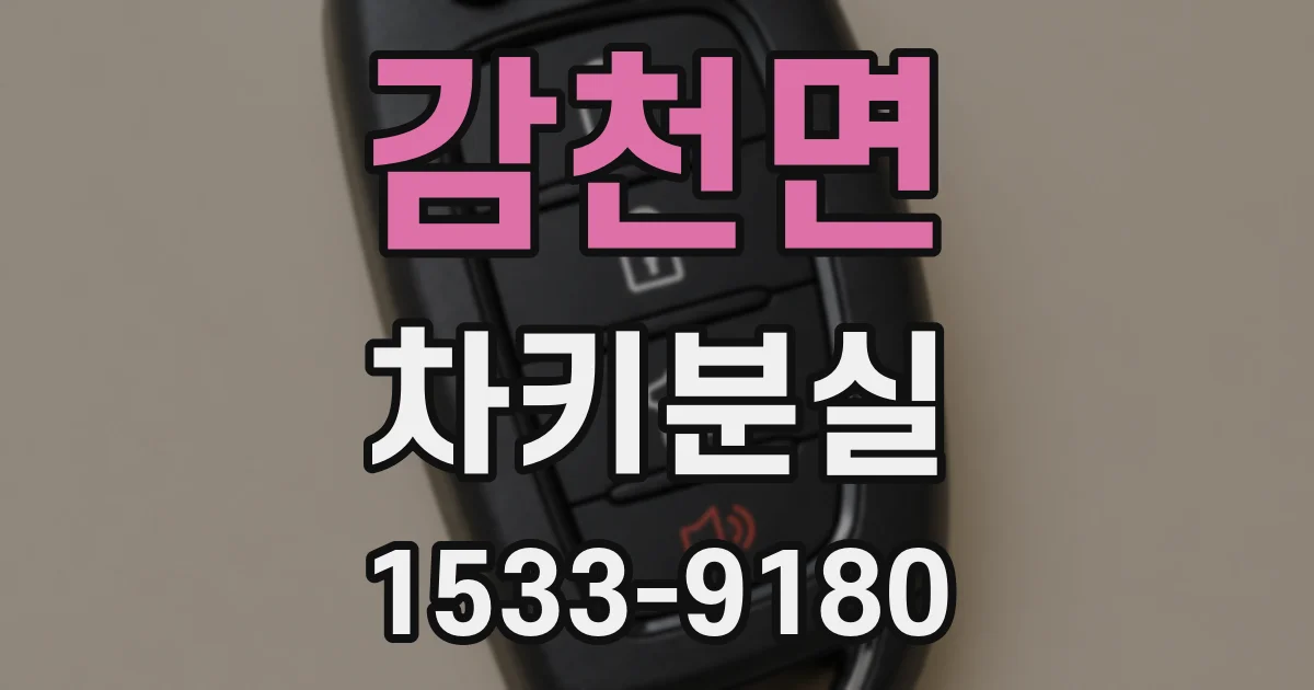 감천면 차키분실