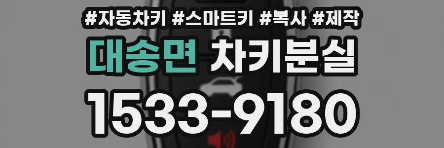 대송면 차키분실