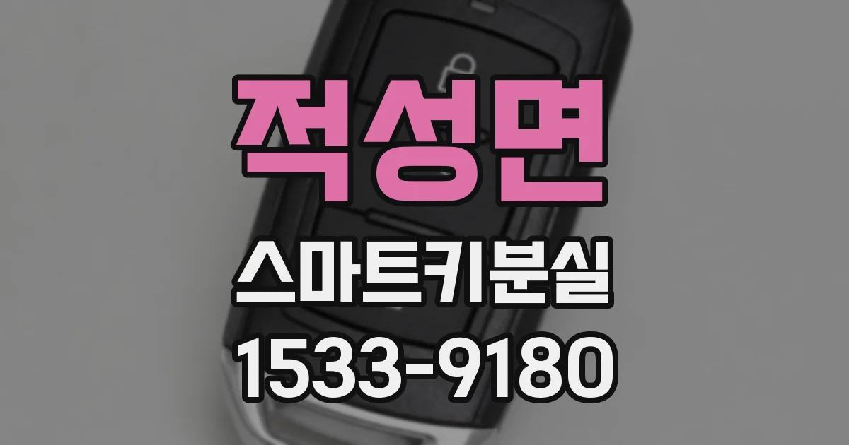 적성면 스마트키분실
