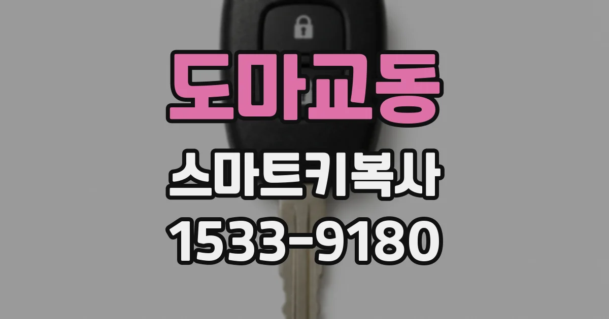 도마교동 스마트키복사