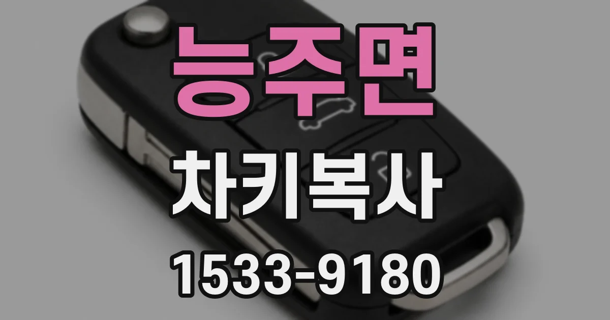 능주면 차키복사