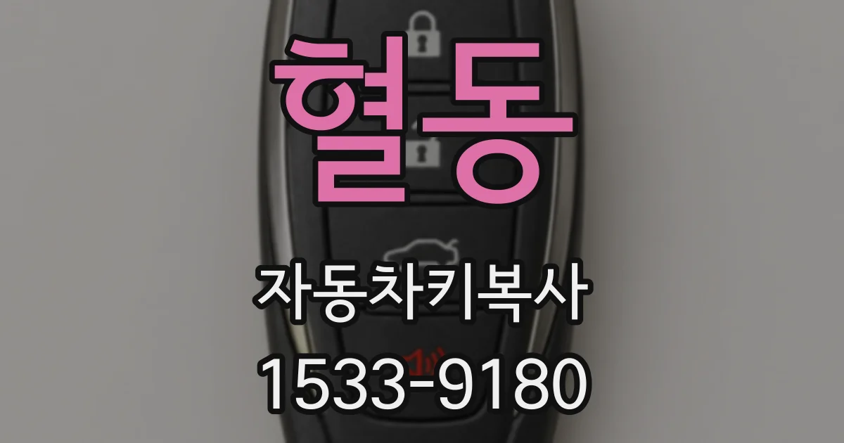 혈동 자동차키복사