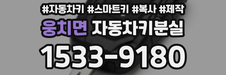웅치면 자동차키분실