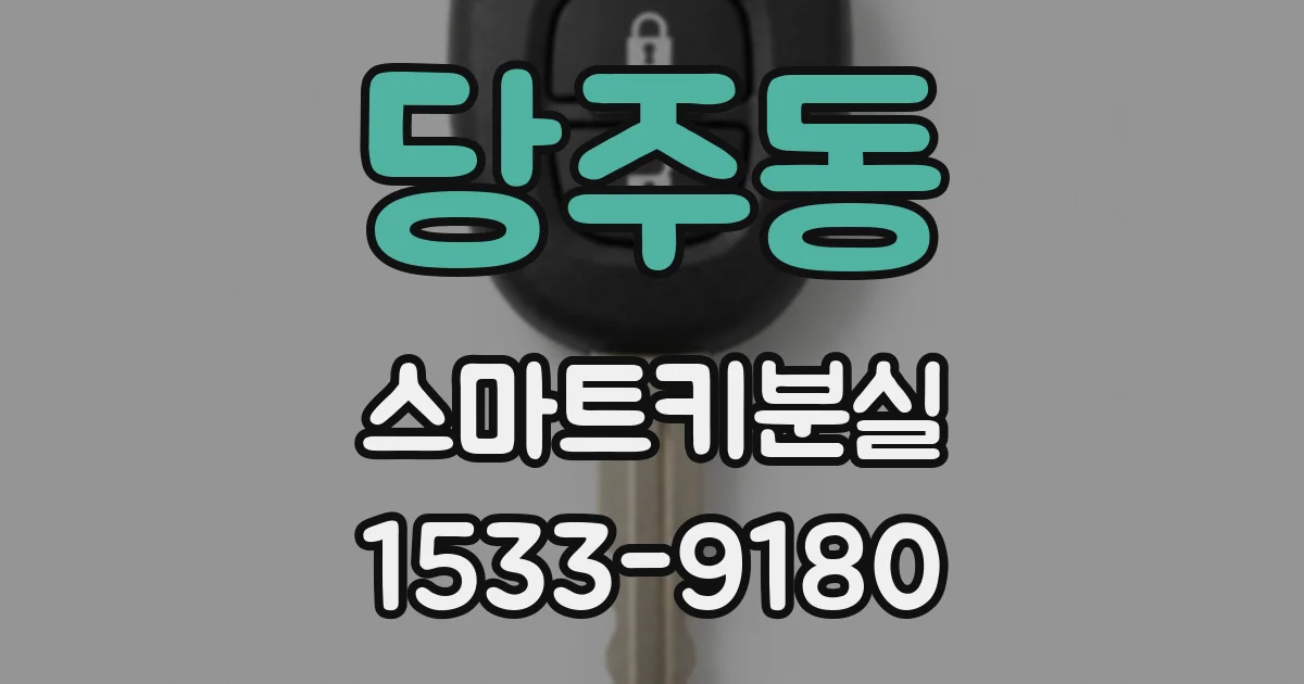 당주동 스마트키분실