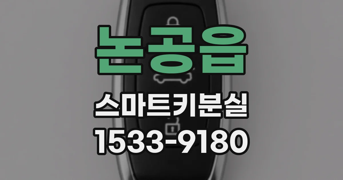 논공읍 스마트키분실