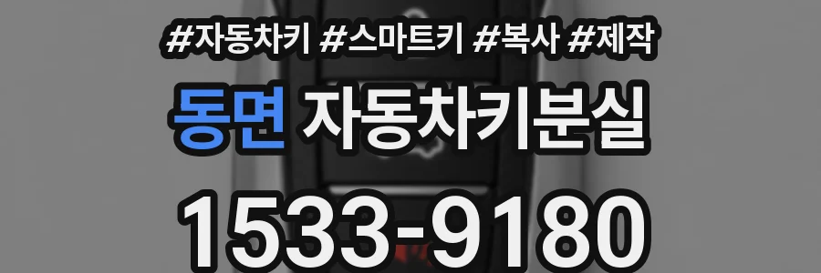 동면 자동차키분실