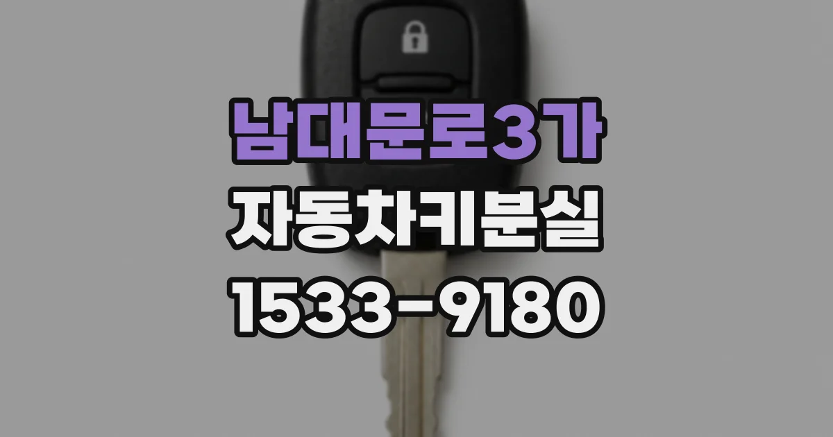 남대문로3가 자동차키분실