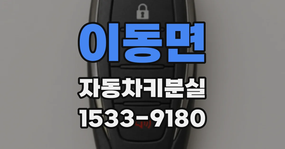 이동면 자동차키분실
