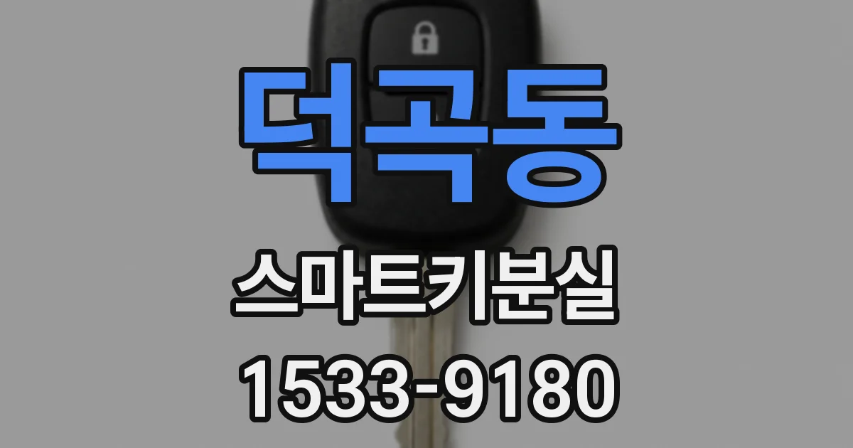 덕곡동 스마트키분실