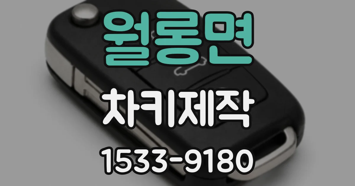 월롱면 차키제작